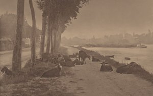  de Alfred Stieglitz