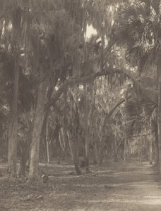  de Alfred Stieglitz