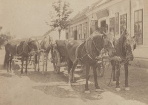  de Alfred Stieglitz