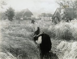  de Alfred Stieglitz