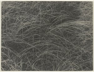 Equivalente, 1927 de Alfred Stieglitz