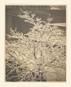  de Alfred Stieglitz