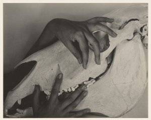  de Alfred Stieglitz