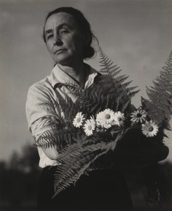  de Alfred Stieglitz