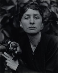  de Alfred Stieglitz