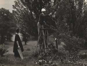  de Alfred Stieglitz