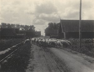  de Alfred Stieglitz