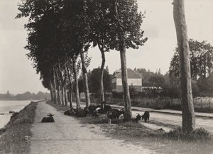 De vuelta a casa de Alfred Stieglitz