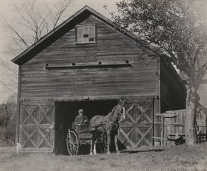  de Alfred Stieglitz