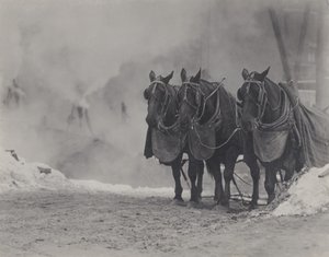  de Alfred Stieglitz