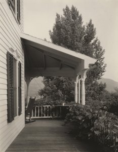 Casa, hojas y árbol de Alfred Stieglitz