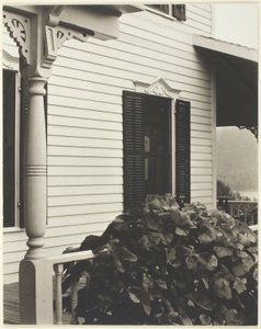 Casa y hojas de parra