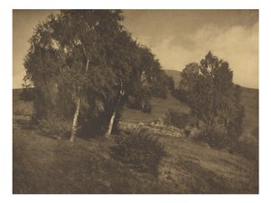 [Paisaje, El Tirol] de Alfred Stieglitz