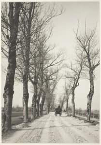 Días de noviembre de Alfred Stieglitz