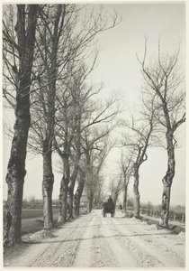 Días de noviembre, 1887, impreso 192039 de Alfred Stieglitz