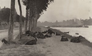  de Alfred Stieglitz