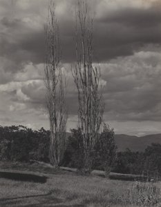  de Alfred Stieglitz