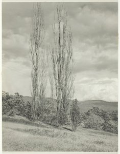 Álamos—Lago George