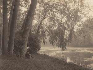 Dibujando en el Bois de Alfred Stieglitz