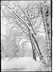 Paisaje Nevado, Berlín