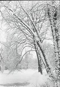 Paisaje nevado, Berlín, 188892