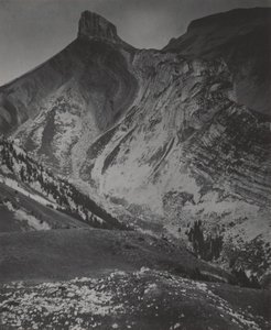  de Alfred Stieglitz