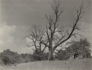  de Alfred Stieglitz