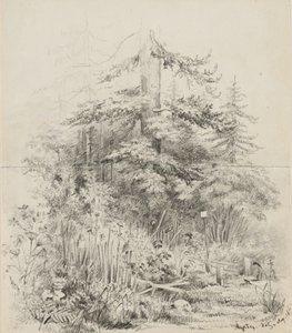 Lugar de entierro indio, Oregón, 1841 de Alfred Thomas Agate
