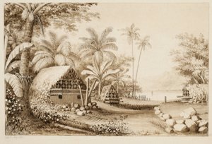 Tumbas en la isla Muthuata, Fiyi de Alfred Thomas Agate