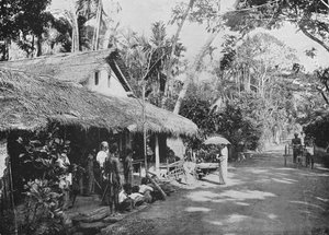 Boralesgamuwa, c. 1890 de Alfred William Amandus Plate
