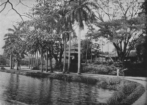 Kandy - Un rincón pintoresco del lago, c. 1890, 1910 de Alfred William Amandus Plate