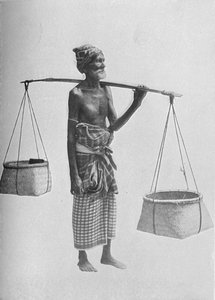 Portador de Pingo de Alfred William Amandus Plate