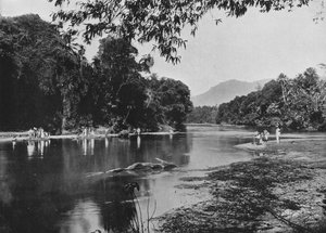 Río en Ratnapura, c1890, 1910 de Alfred William Amandus Plate