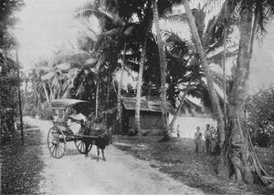 Camino junto al río Kelaniya, c1890, 1910