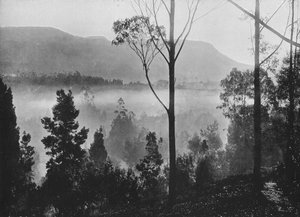La niebla de la mañana temprano levantándose en Nuwara Eliya, c1890 de Alfred William Amandus Plate