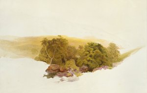 Colina de Martin, Dockwigg de Alfred William Hunt