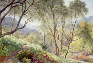 Ullswater desde Gowbarrow Park, 1864