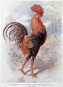 Disfraz de gallo de Chantecler diseñado para Constant Poppy en 1908, pieza en verso de Edmond Rostand