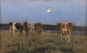 Luna de verano