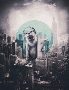 Urban Otter DJ de Ali Gulec