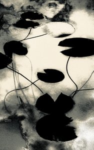 Gold Dust Shadows, de la serie Spring, 2020 (fotografía repintada a mano)