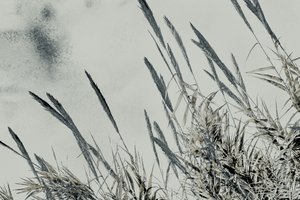 Cosecha, 2017 (fotografía pintada a mano)