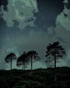 Last Light, 2018 (fotografía pintada a mano)
