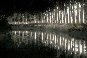 Rendering, 2018 (fotografía repintada a mano)
