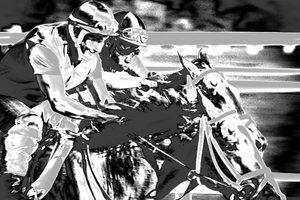 Saratogoa Trials, 2015 (fotografía pintada a mano)
