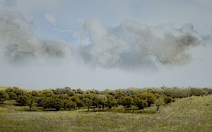 Tarde siciliana, 2018 (fotografía pintada a mano)