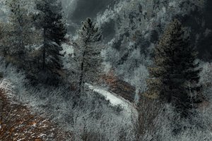 El camino de Milán, 2018 (fotografía pintada a mano) de Alice Gur-Arie