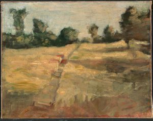 El campo de Alice Pike Barney