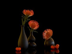  de Alice Sheng