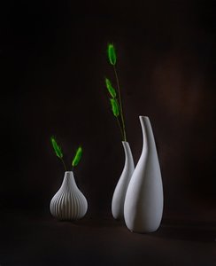 de Alice Sheng